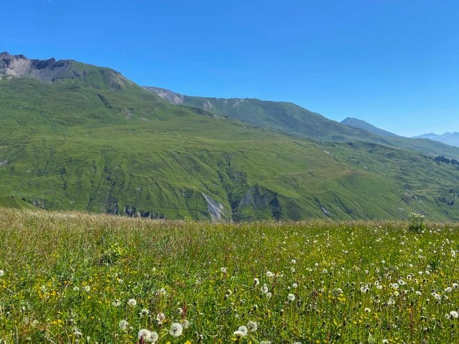 Bergpanorama rund um Scuol