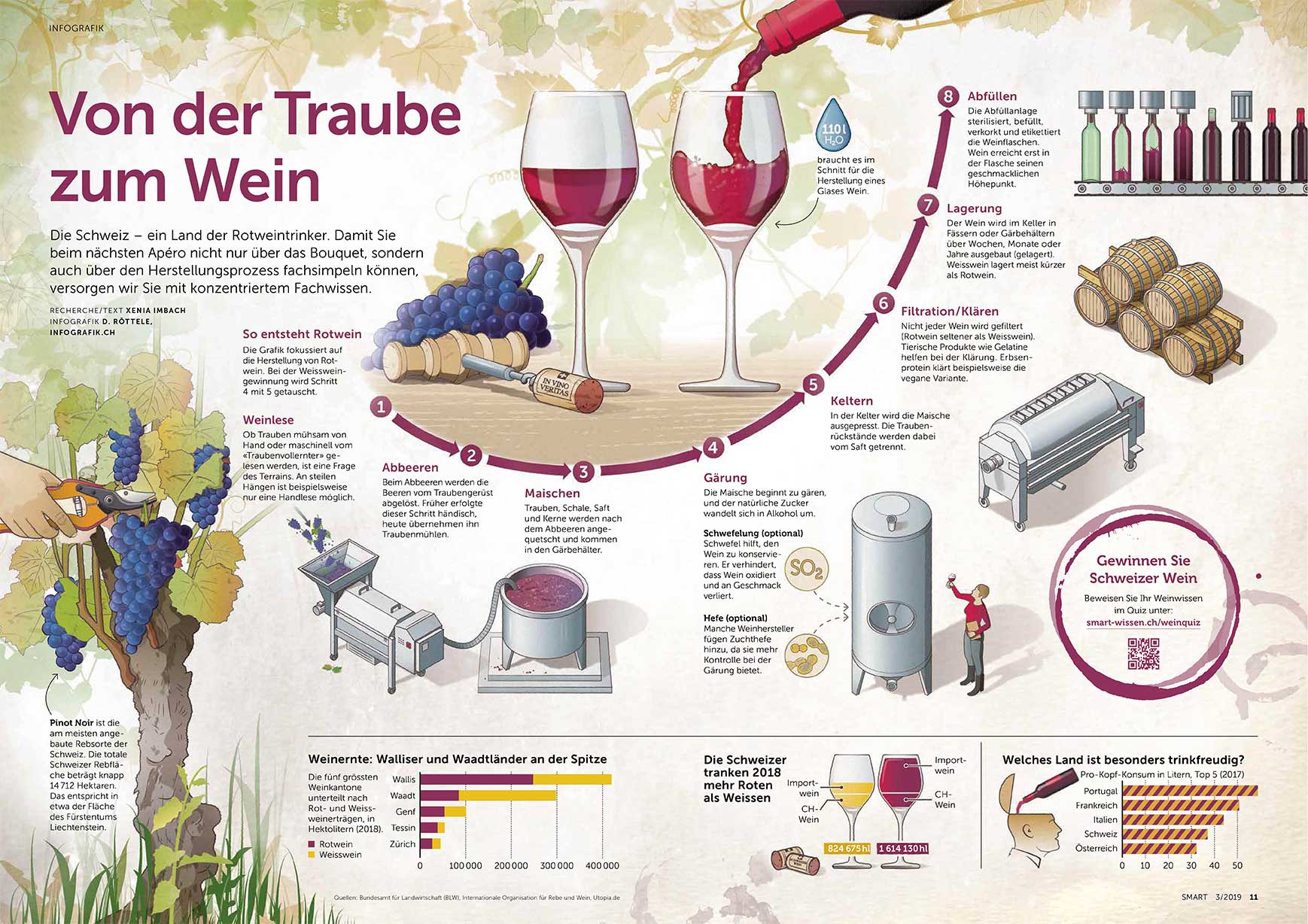 Infografik zum Wein